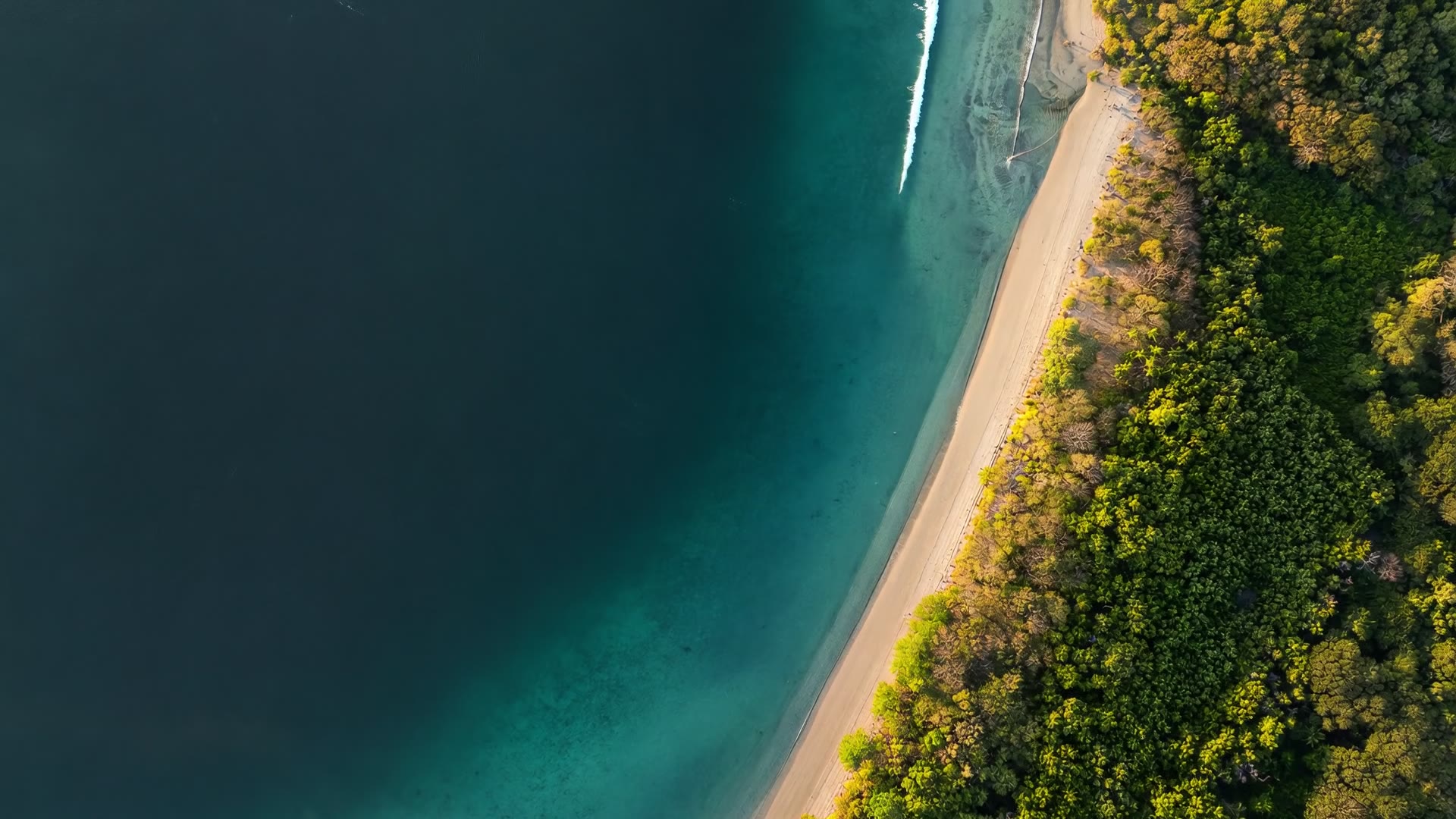 Aerial view of turquoise sea and a wooded coastline in The Hive property film